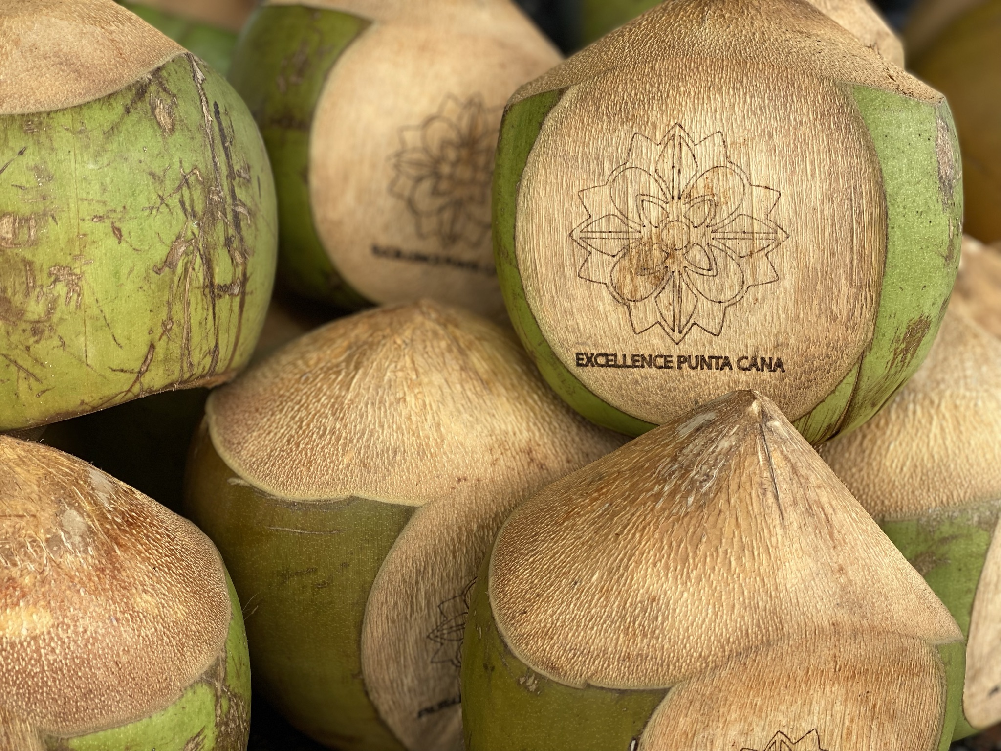A group of cocunuts in the Caribbean marked with the symbol of Excellence Punta Cana