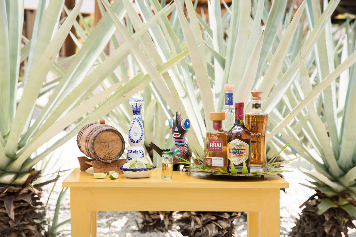 Tequila selection in Playa Mujeres