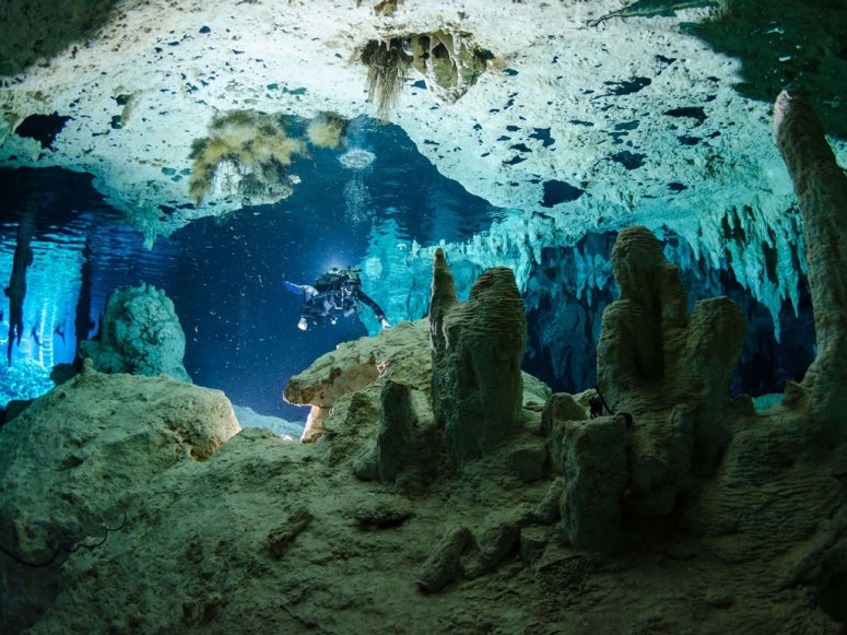 Dos Ojos cenote diving in Quintana Roo