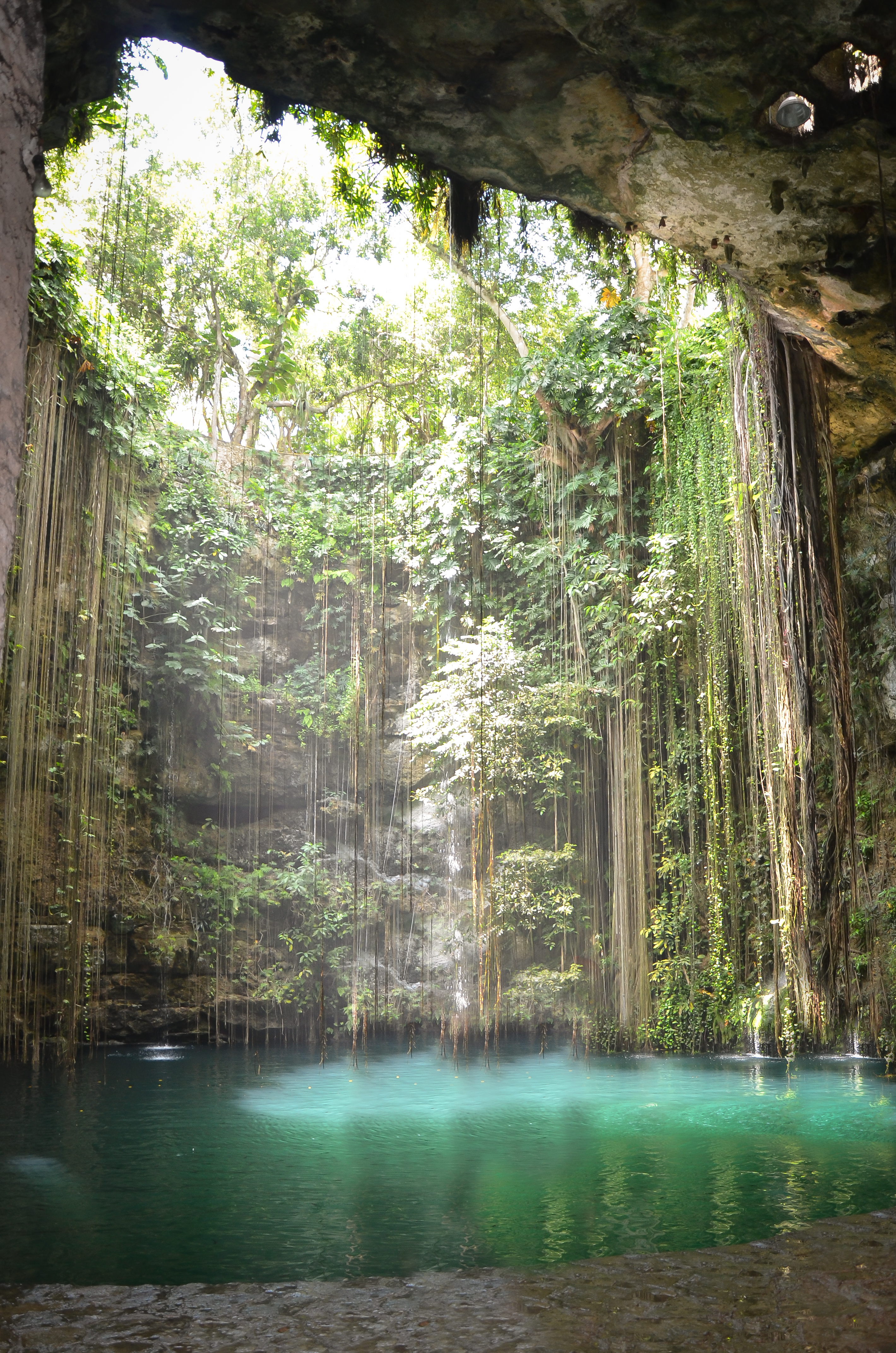 Swimming In The Sacred Ik Kil Cenote - Explore Shaw