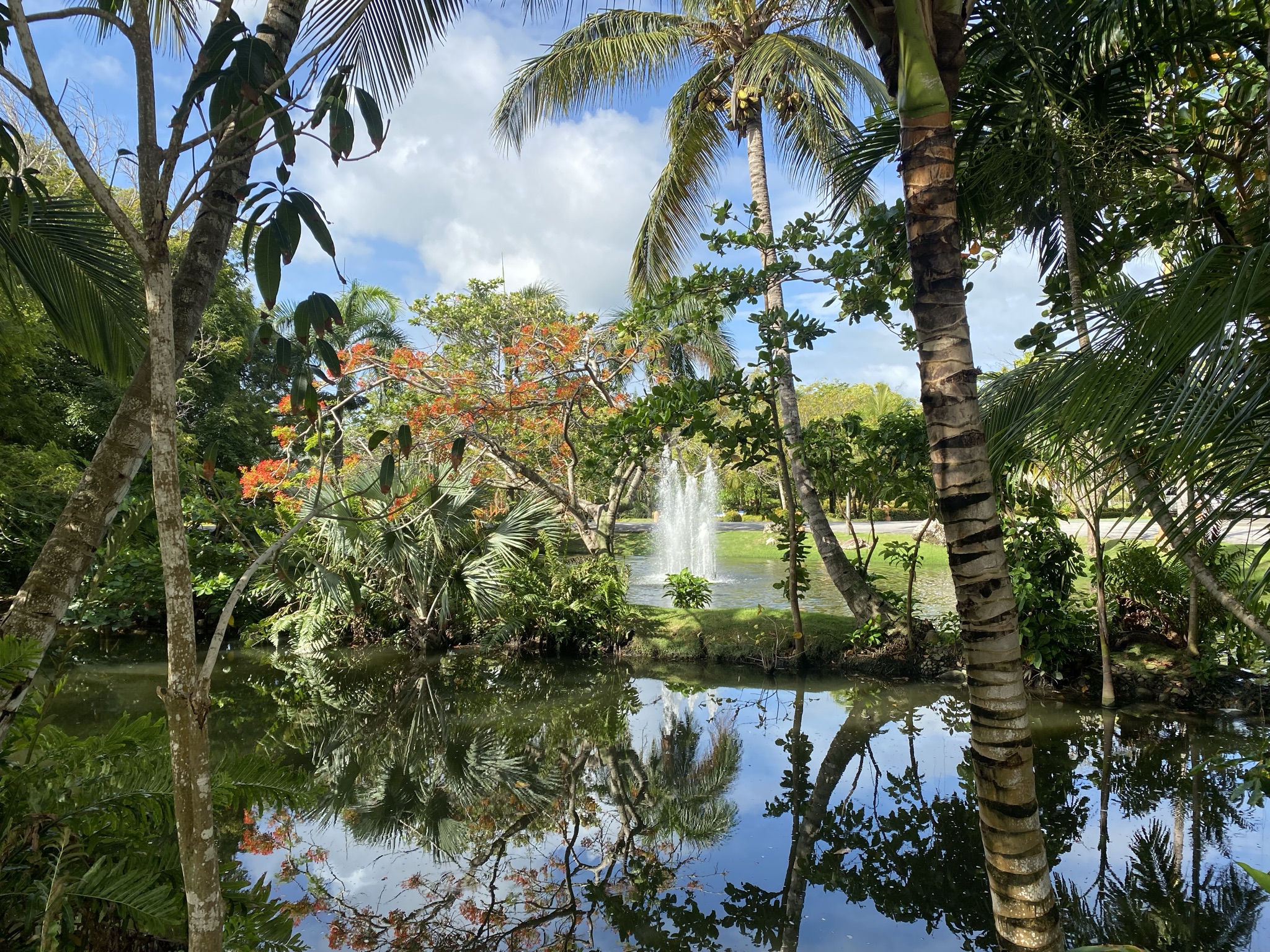 A beautiful ecological park with many tropical trees and plants